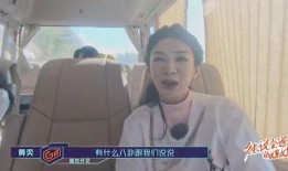 莱西摄影师爆料视频,揭秘幕后精彩瞬间